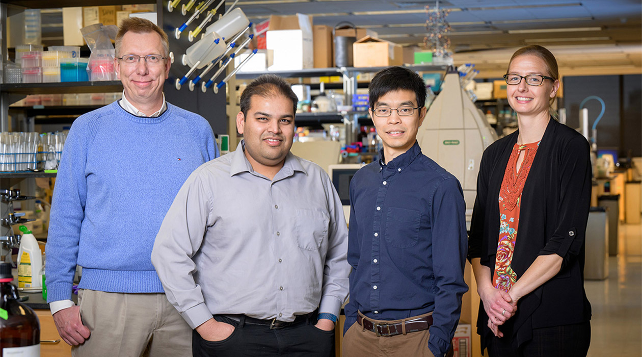 $9.5M award to study emerging pathogens, better understand influenza-antibody interactions