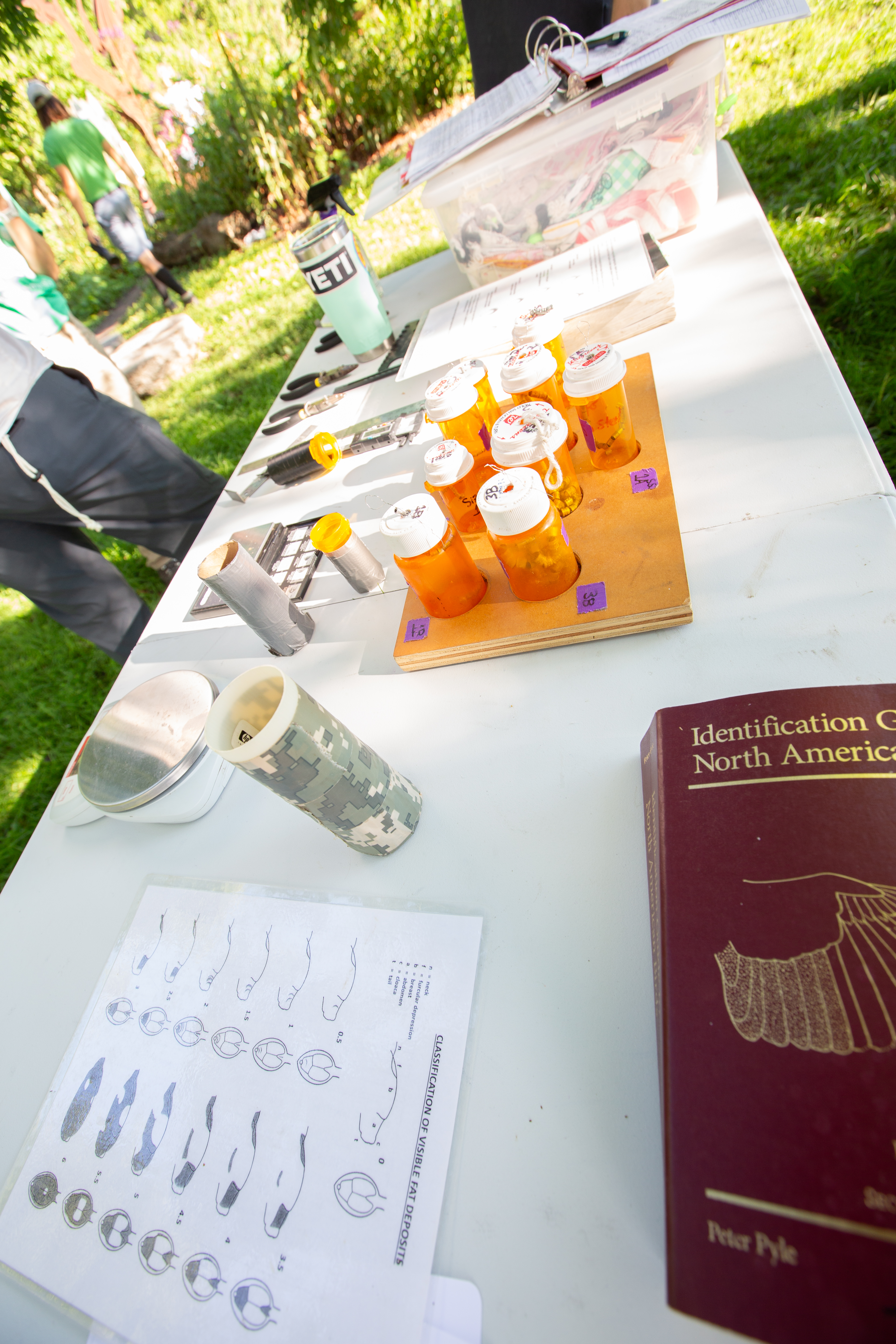 Activity table for the Birds event, Anita Purves Nature Center