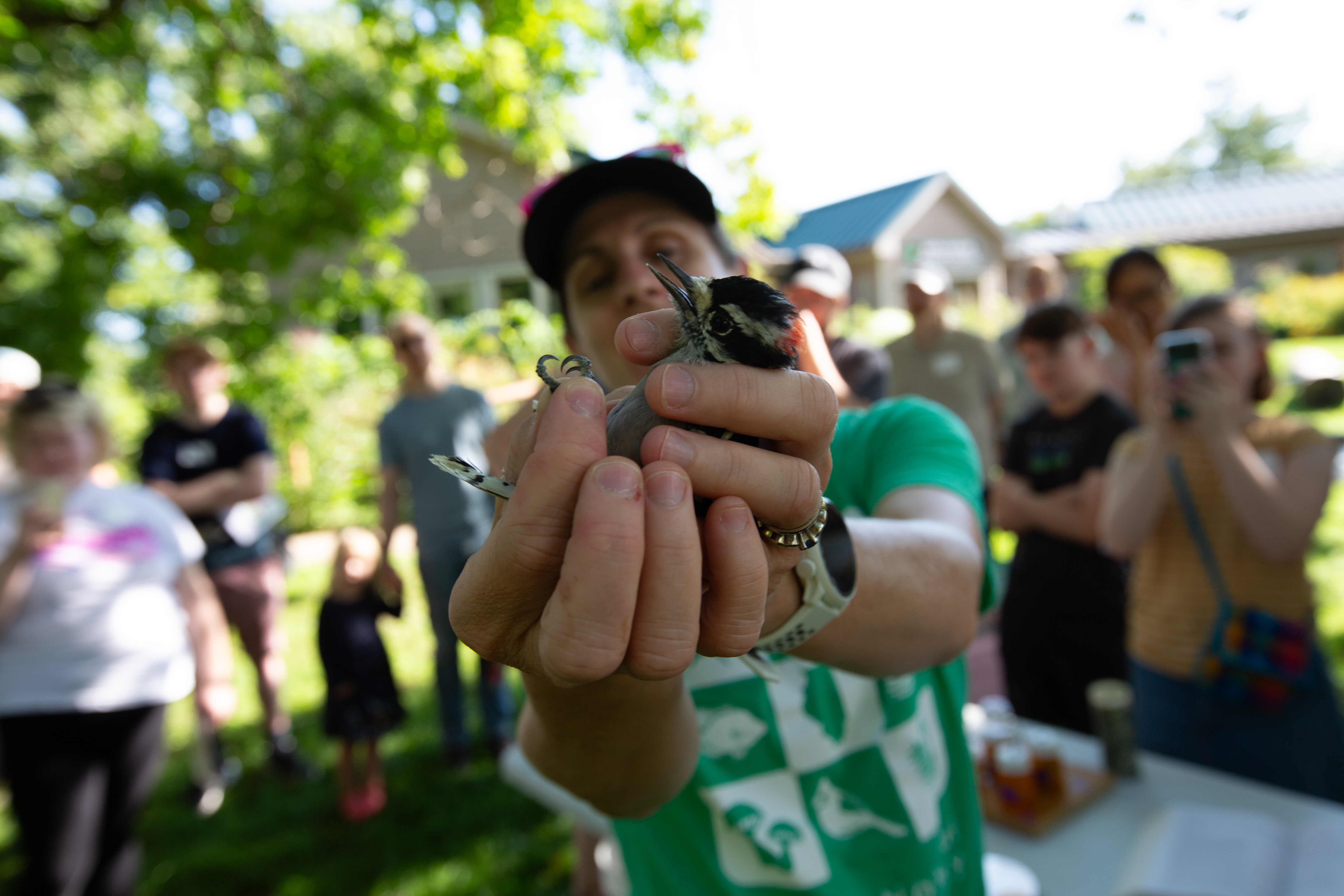 Guided outdoor walk for the Birds event, Anita Purves Nature Center