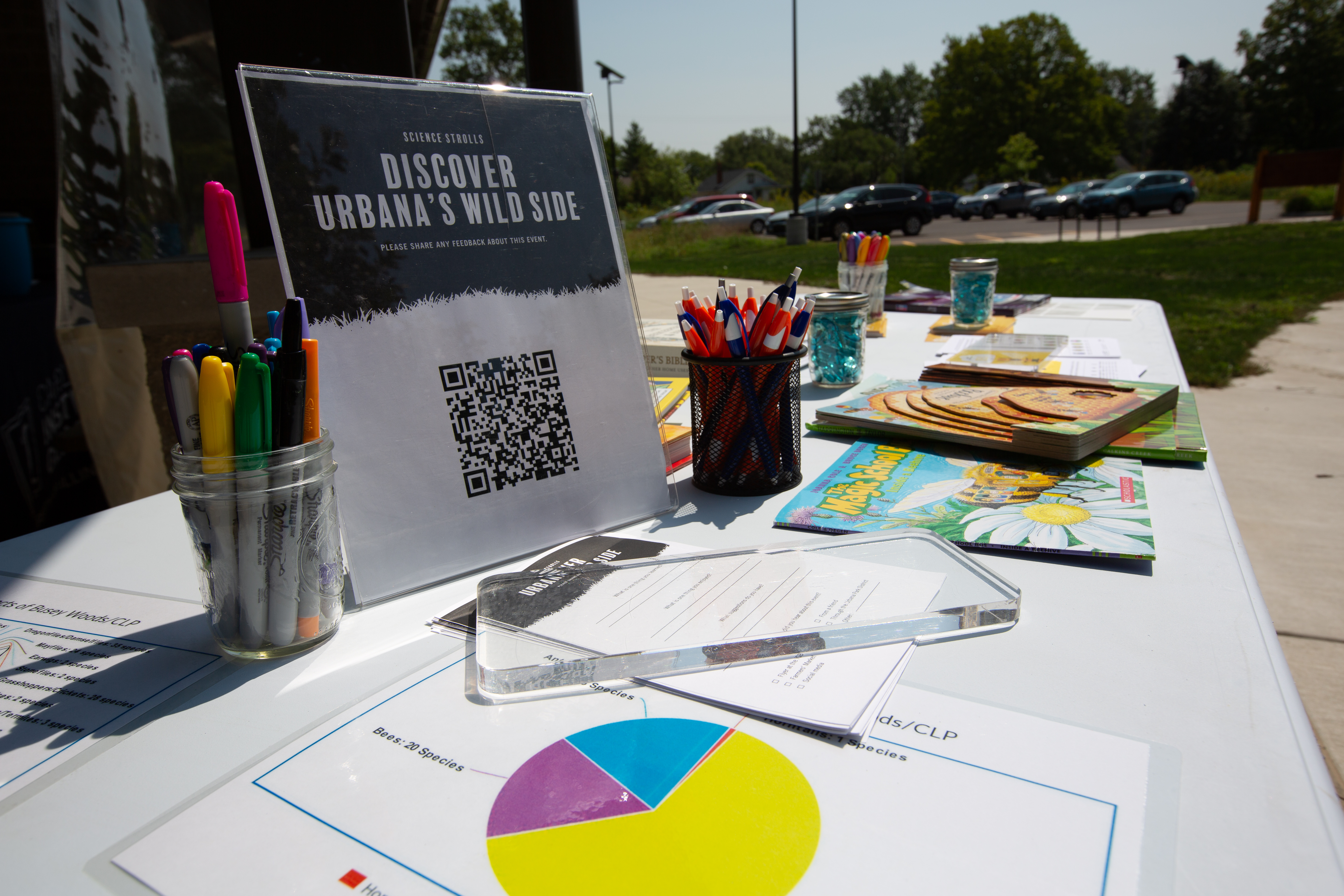 Activity table for the Bees event, Anita Purves Nature Center