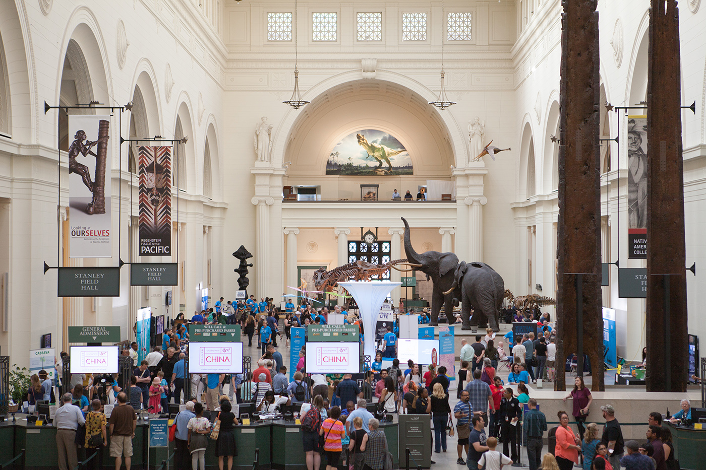 Field Museum, Chicago, 2017