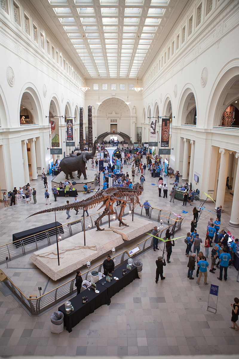 Field Museum, Chicago, 2017