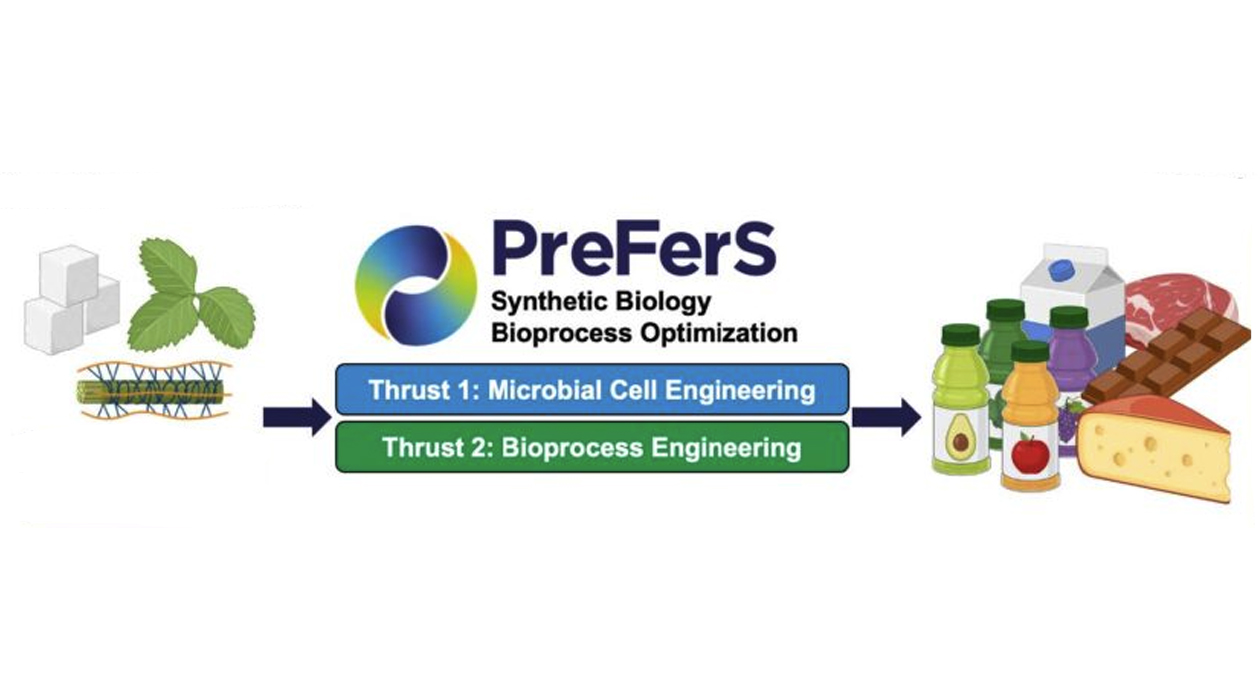 $14.8M Grant Supports Singapore Partnership on Precision Fermentation