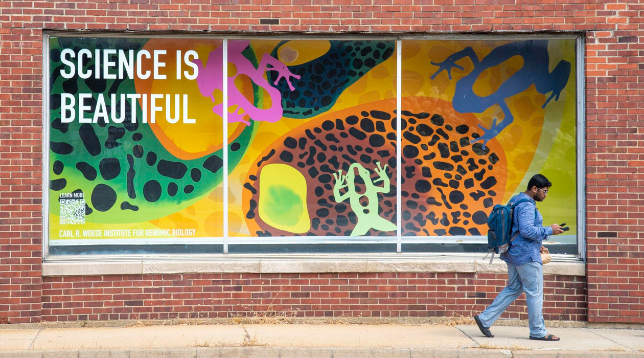 Colorful amphibian shapes adorn the lightbox along Neil Street, inspired by IGB research and created with the same techniques used in the IGB's Art of Science program.