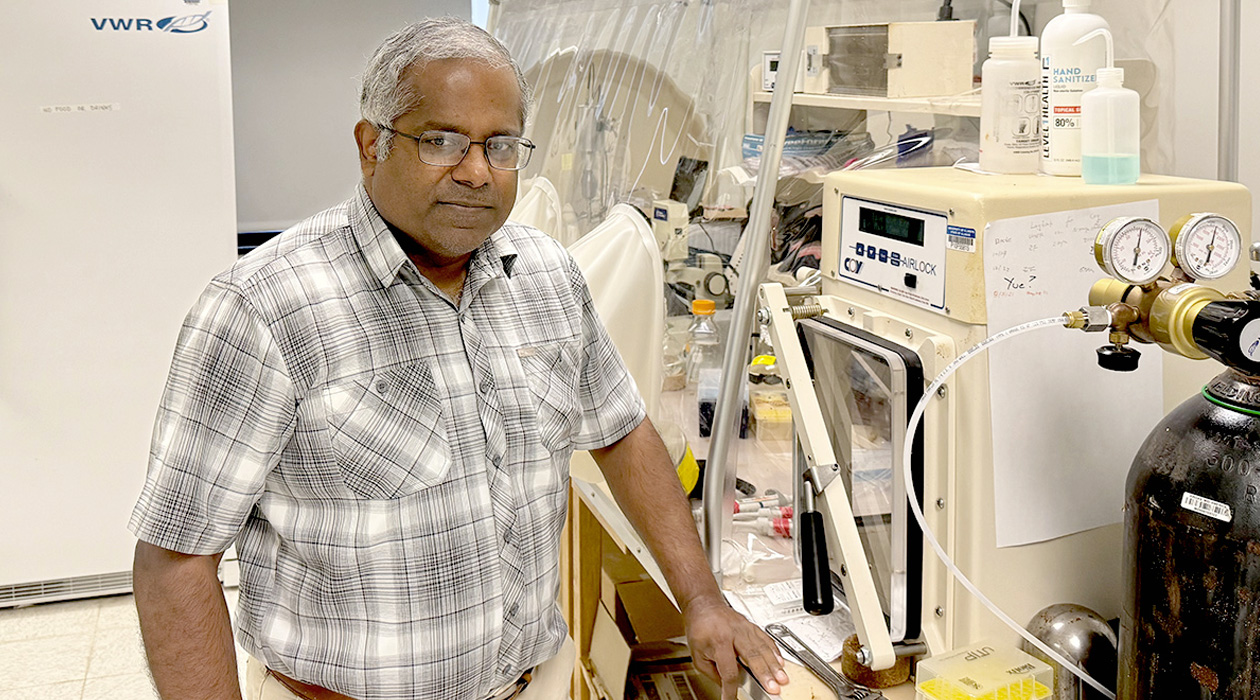 Illinois biochemistry professor Satish Nair and his colleagues discovered a new class of DNA-protein hybrids and determined the mechanisms by which they are formed in bacterial cells. The findings will speed the process of finding and developing new DNA-protein hybrid molecules for therapeutic use. 