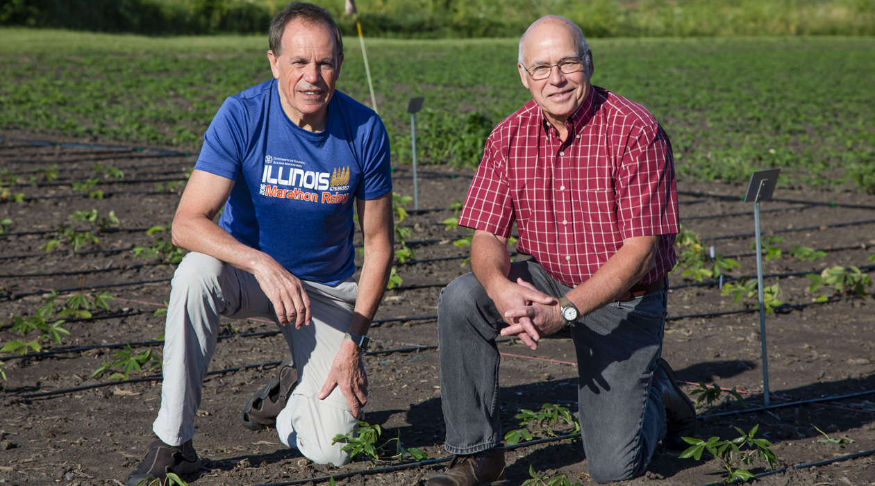 Stephen Long and Donald Ort of the Realizing Increased Photosynthetic Efficiency (RIPE) project.