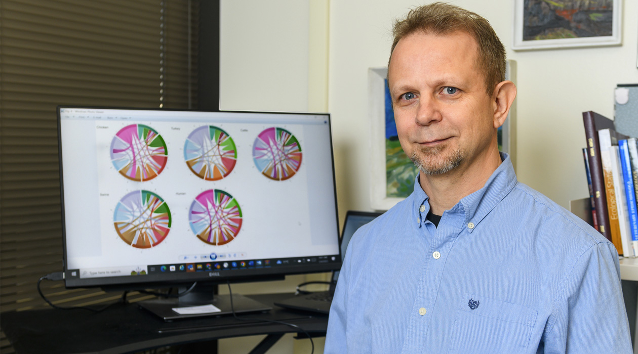 Illinois pathobiology professor Csaba Varga and his colleagues tracked antibiotic-resistant infections with Campylobacter jejuni, a primary cause of foodborne illness in the U.S. The study found regional and age-related differences, and an upward trend in resistance to a class of antibiotics known as quinolones. Photo by Craig Pessman