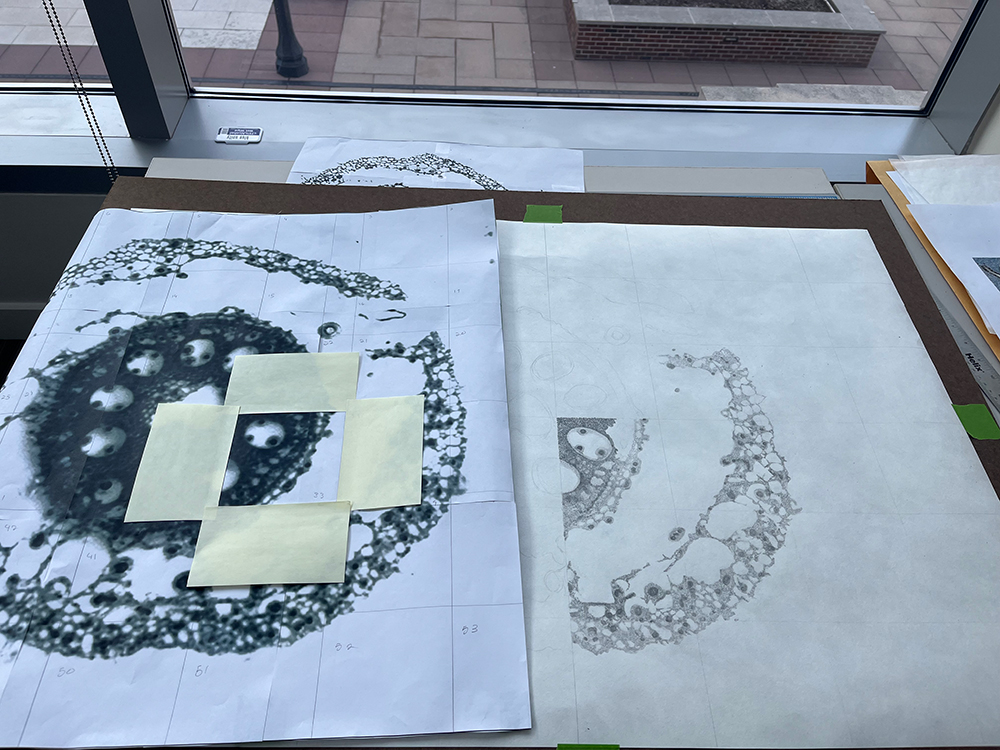 Art of Science behind the scenes