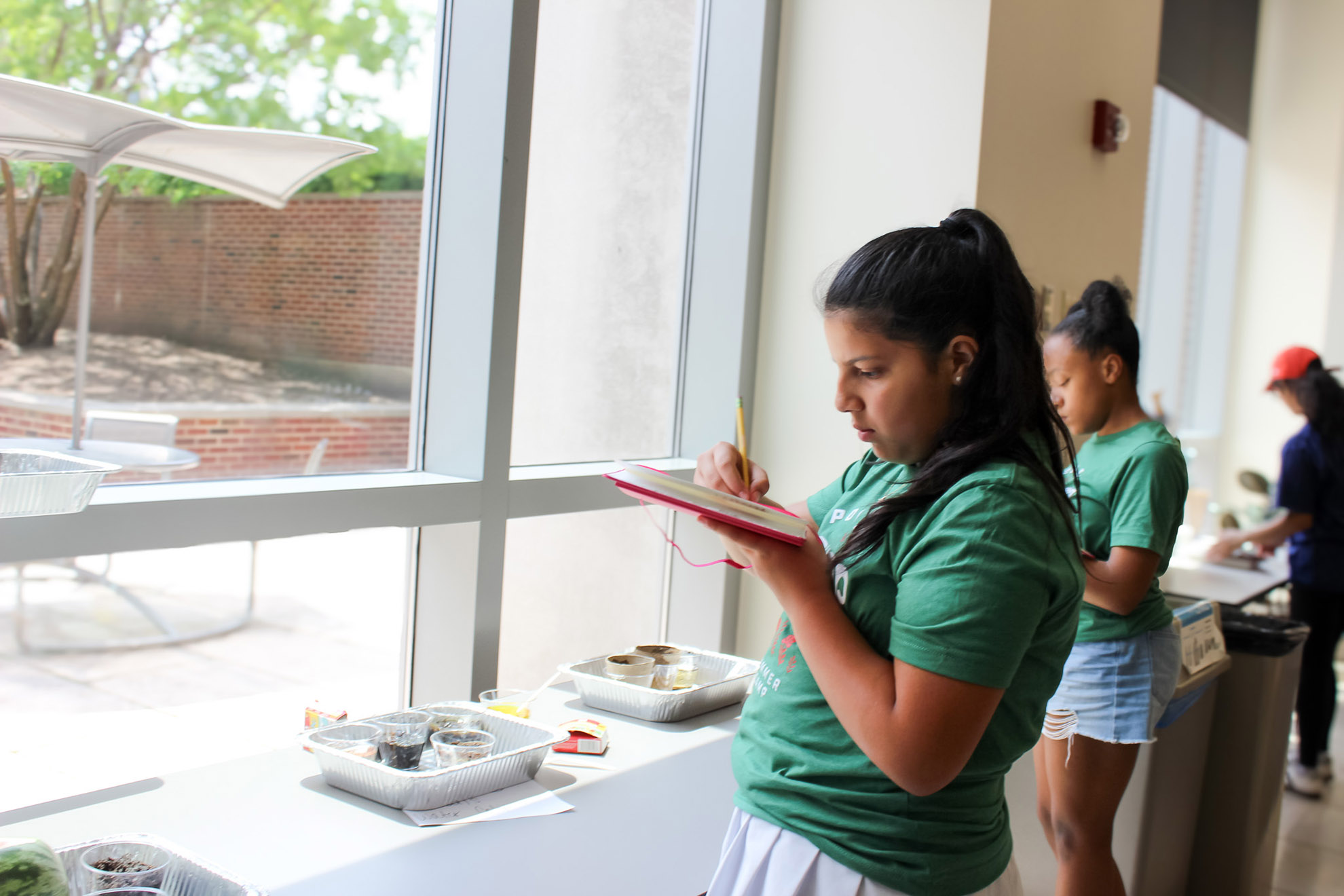 Pollen Power, 2025 / ZanneNewman