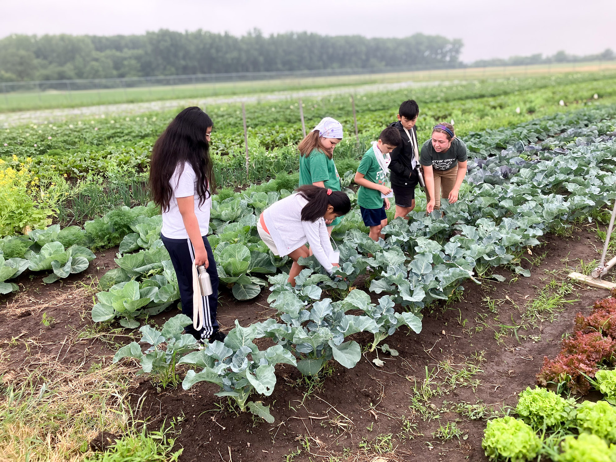 Pollen Power, 2025 / ZanneNewman