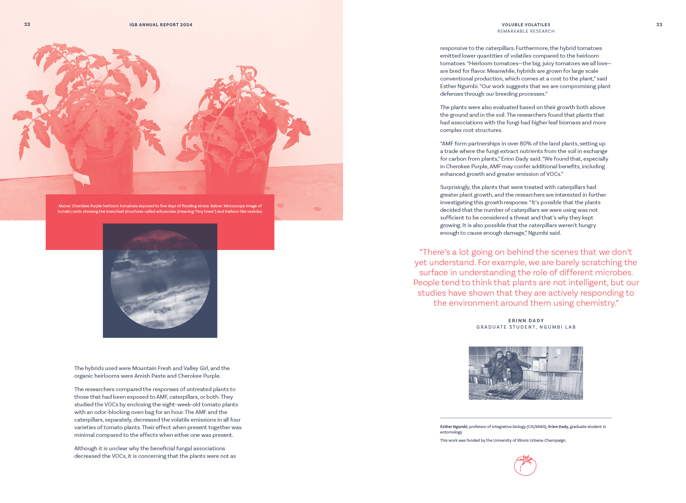 Remarkable Research stories, Voluble volatiles