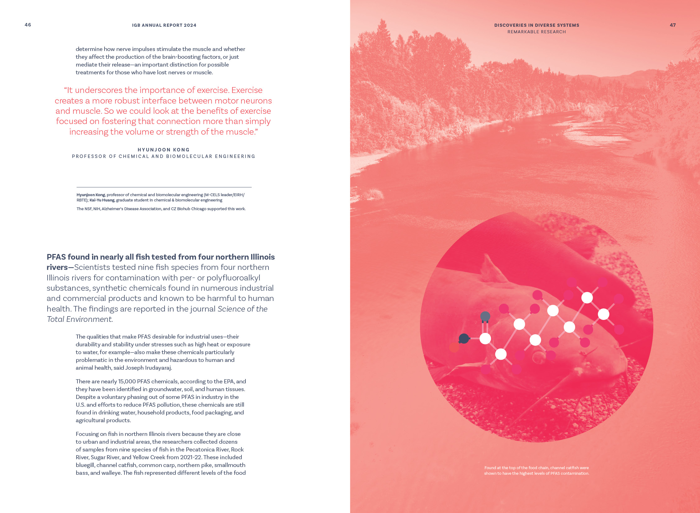 Remarkable Research stories, Discoveries in diverse systems