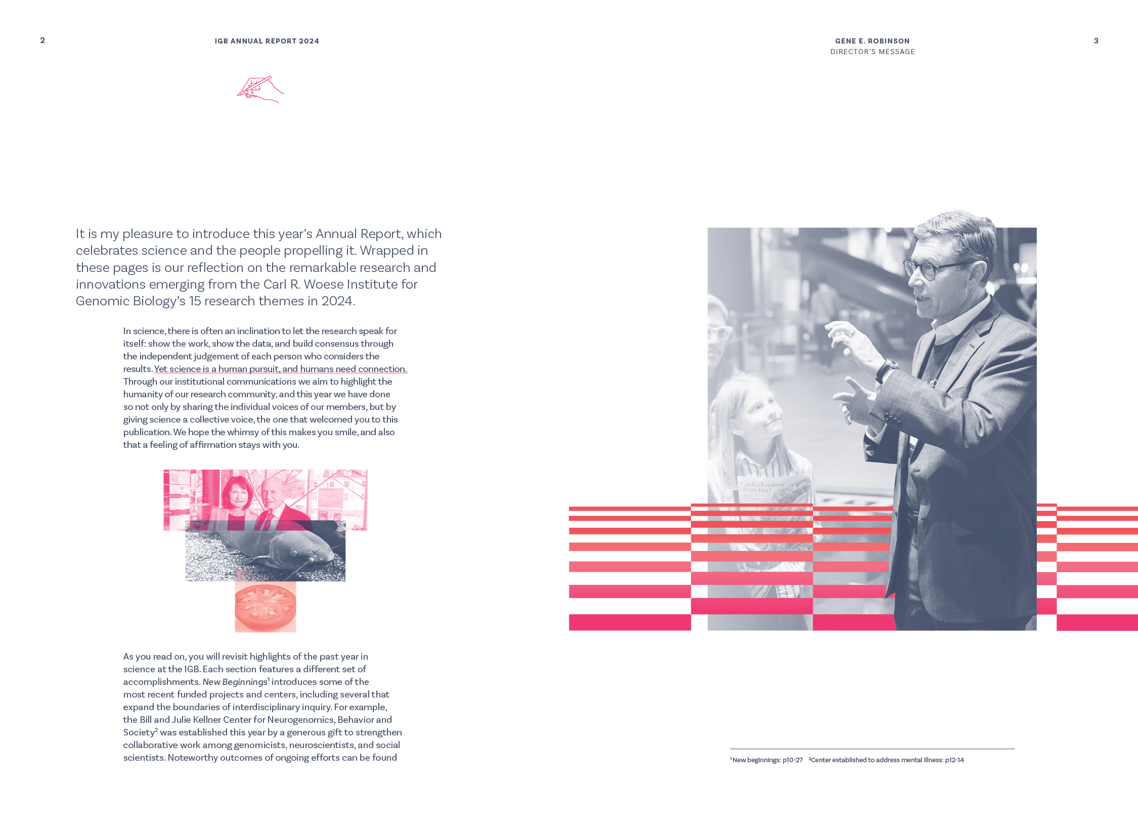 Message from the director