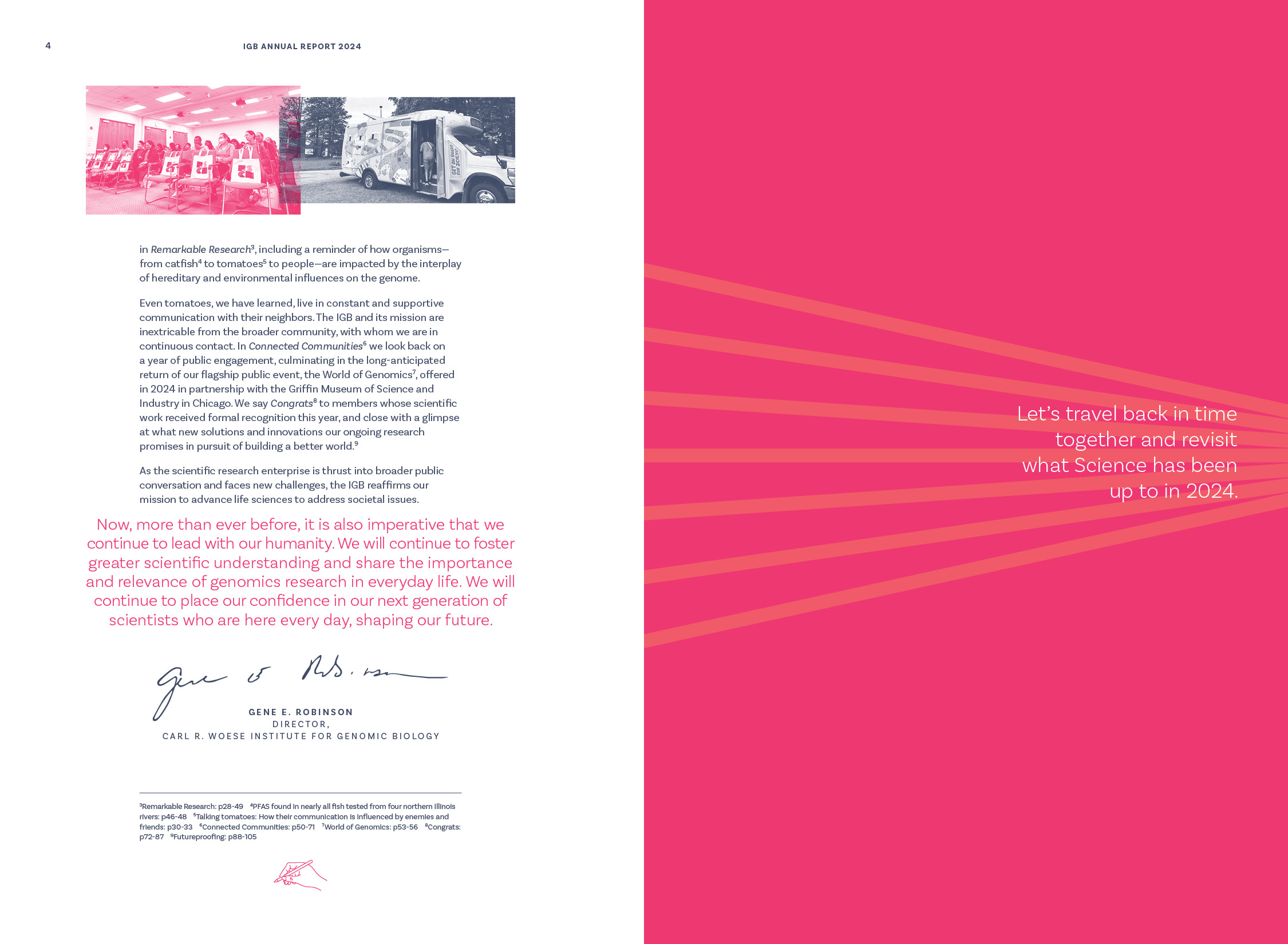 Message from the director