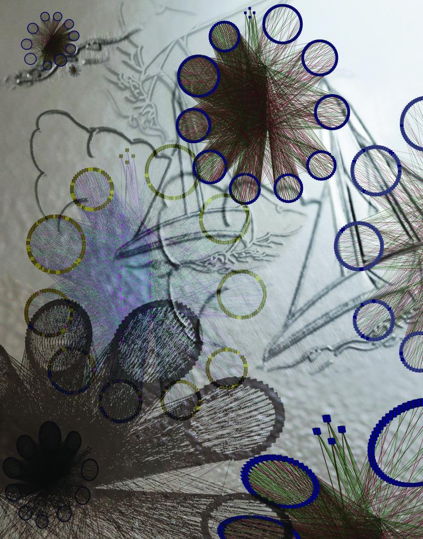 Green Revolutions<br />
Cytoscape 2.8.3 <br />
Amy Marshall-Colon<br />
Amy Marshall-Colon Laboratory<br />
Funded by the NIH