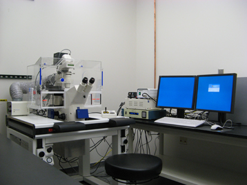 Widefield Fluorescence Microscope