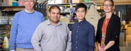 $9.5M award to study emerging pathogens, better understand influenza-antibody interactions