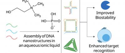 A diagram from the lab's published paper in JACS.