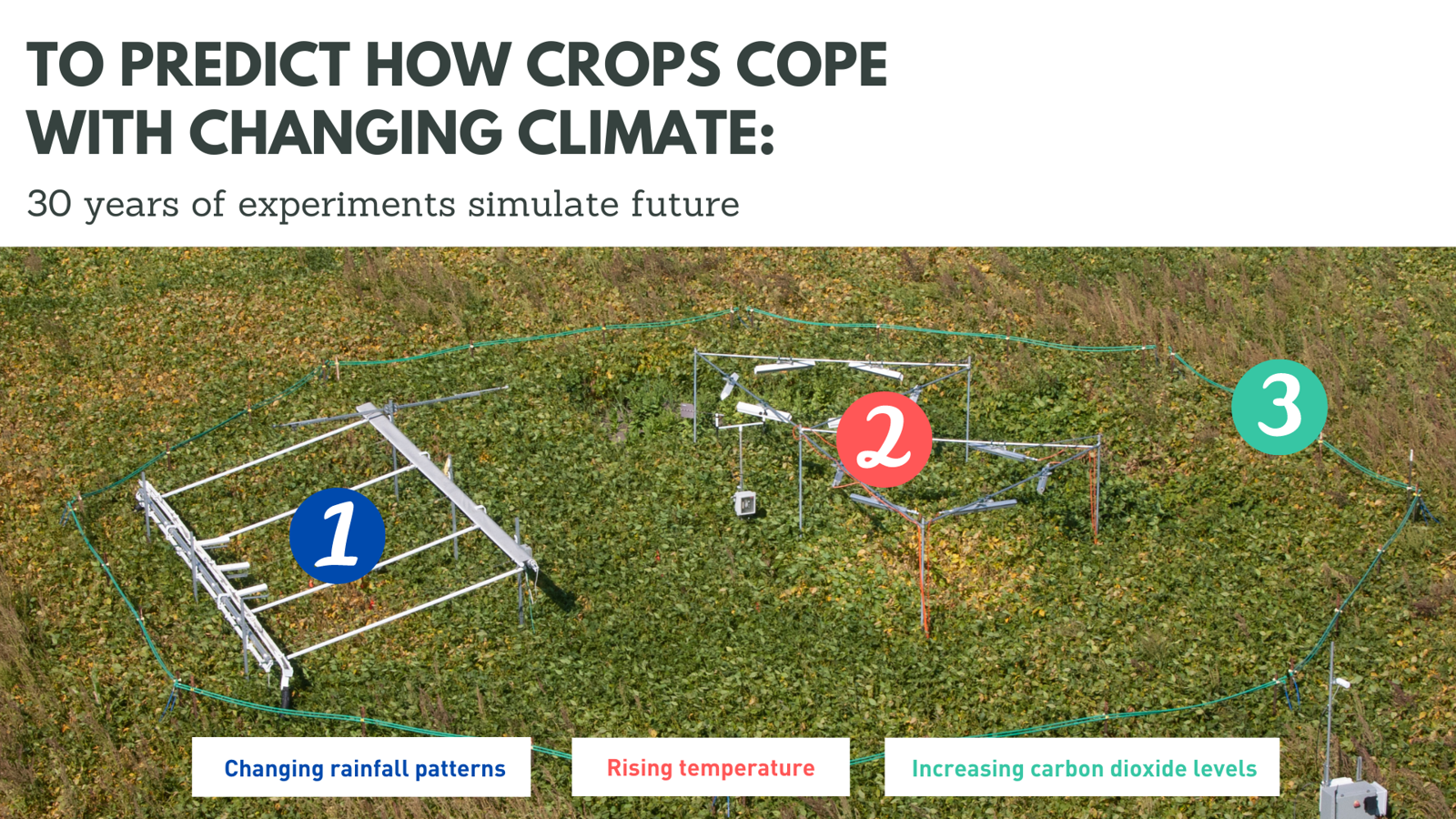 The SoyFACE 'Free-Air Concentration Enrichment' (FACE) facility at the University of Illinois simulates rising carbon dioxide and temperature as well as changing rainfall patterns.