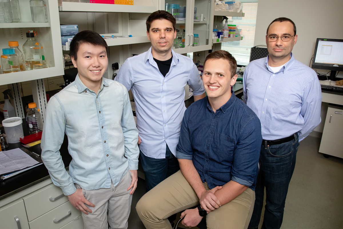 Illinois researchers demonstrated a CRISPR gene-editing technique that slowed the progression of ALS in mice. Pictured, from left: graduate student Colin Lim, professor Thomas Gaj, graduate student Michael Gapinske, professor Pablo Perez-Pinera.