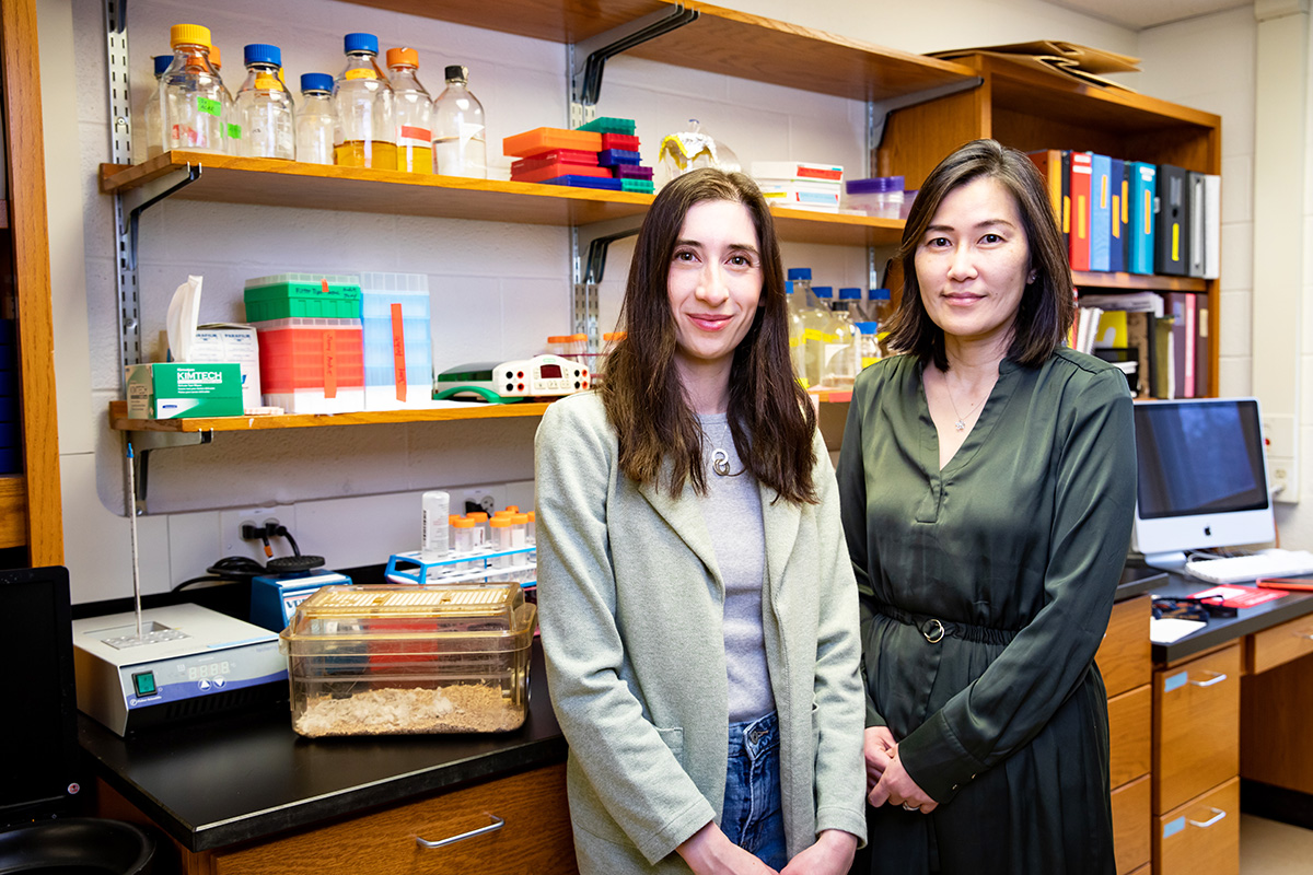 From left, U. of I. doctoral candidate Jennifer Walters and molecular and integrative physiology professor Hee Jung Chung discovered that TC-2153, an inhibitor of a brain-specific protein known as STEP, reduces seizures that originate in the hippocampus in mice.