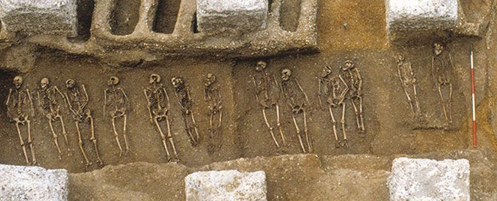 Skeletons uncovered in the Black Death Cemetery of East Smithfield, London. (Klunk et al., Nature, 2022/MOLA)