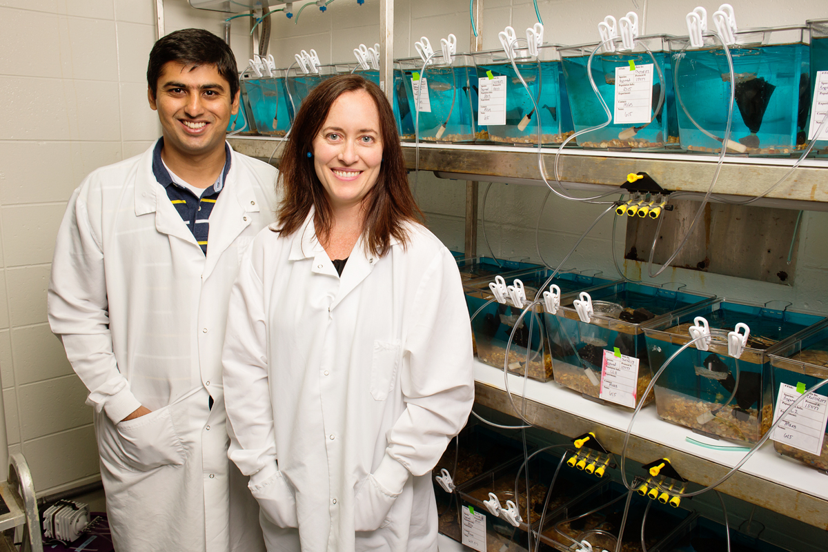 University of Illinois animal biology professor Alison Bell, graduate student Abbas Bukhari