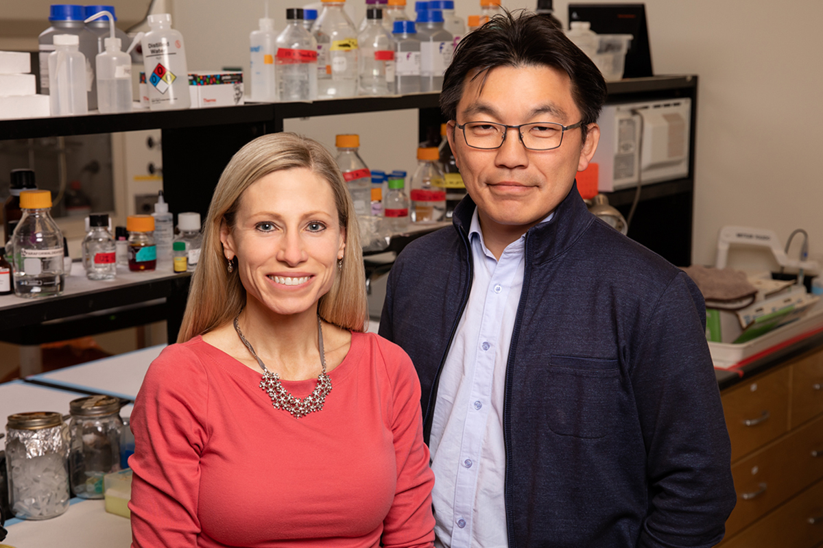 U. of I. kinesiology and community health professor Marni Boppart, chemical and biomolecular engineering professor Hyun Joon Kong and their colleagues discovered that injections of support cells known as pericytes can aid muscle regrowth after disuse atrophy. The study was conducted in mice.