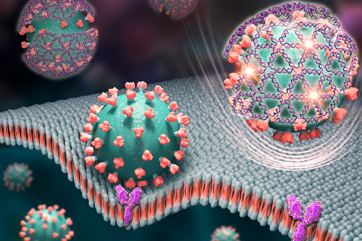 Tiny nets woven from DNA strands cover the spike proteins of the virus that causes COVID-19 and give off a glowing signal in this artist’s rendering.