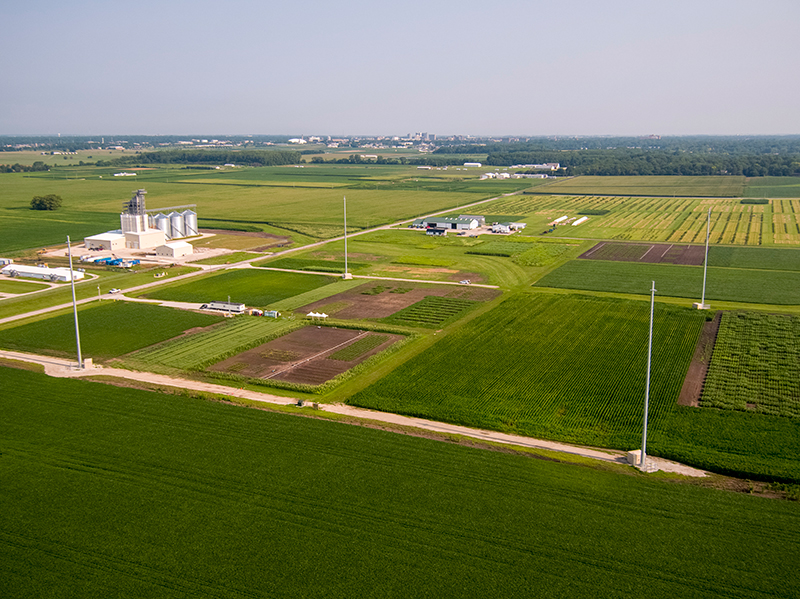 Energy Farm Darrell Hemann