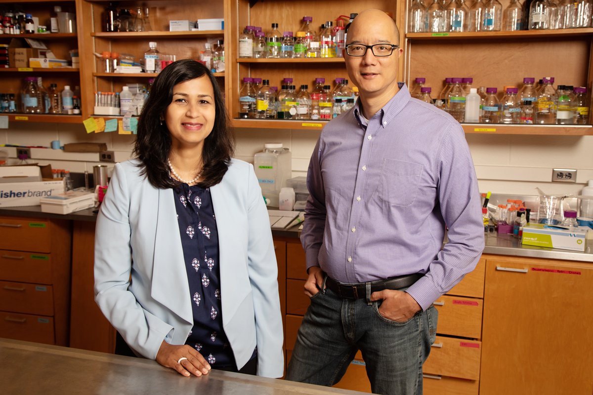 Comparative biosciences professor Aditi Das and veterinary clinical medicine professor Timothy Fan found that a class of molecules that form when the body metabolizes omega-3 fatty acids may prevent cancer from migrating.