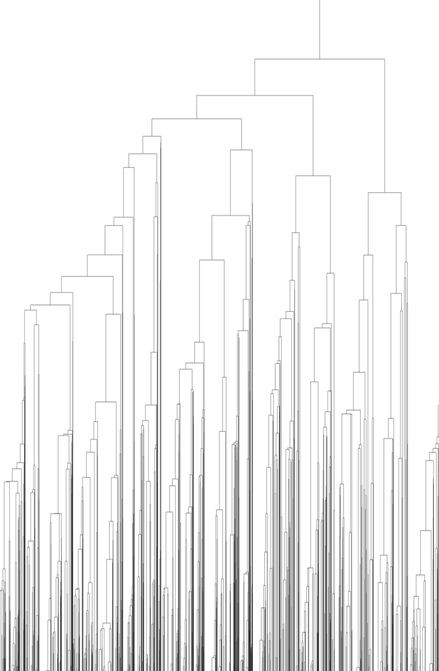 Simulated phylogenetic tree. Time runs from top to bottom, and nodes represent species, lines represent the mutations in DNA associated with the gene that is being studied. Bifurcations signify speciation events. This tree has a complex structure but is also fractal in a topological sense.