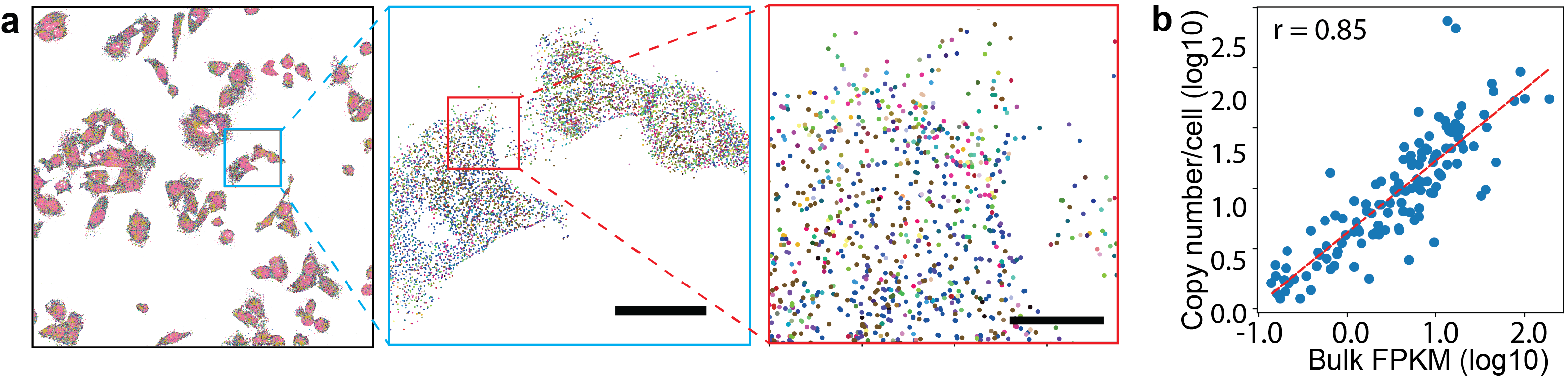 Spatial transcriptomics data from human U2OS cells, imaged by the Han lab at the University of Illinois.