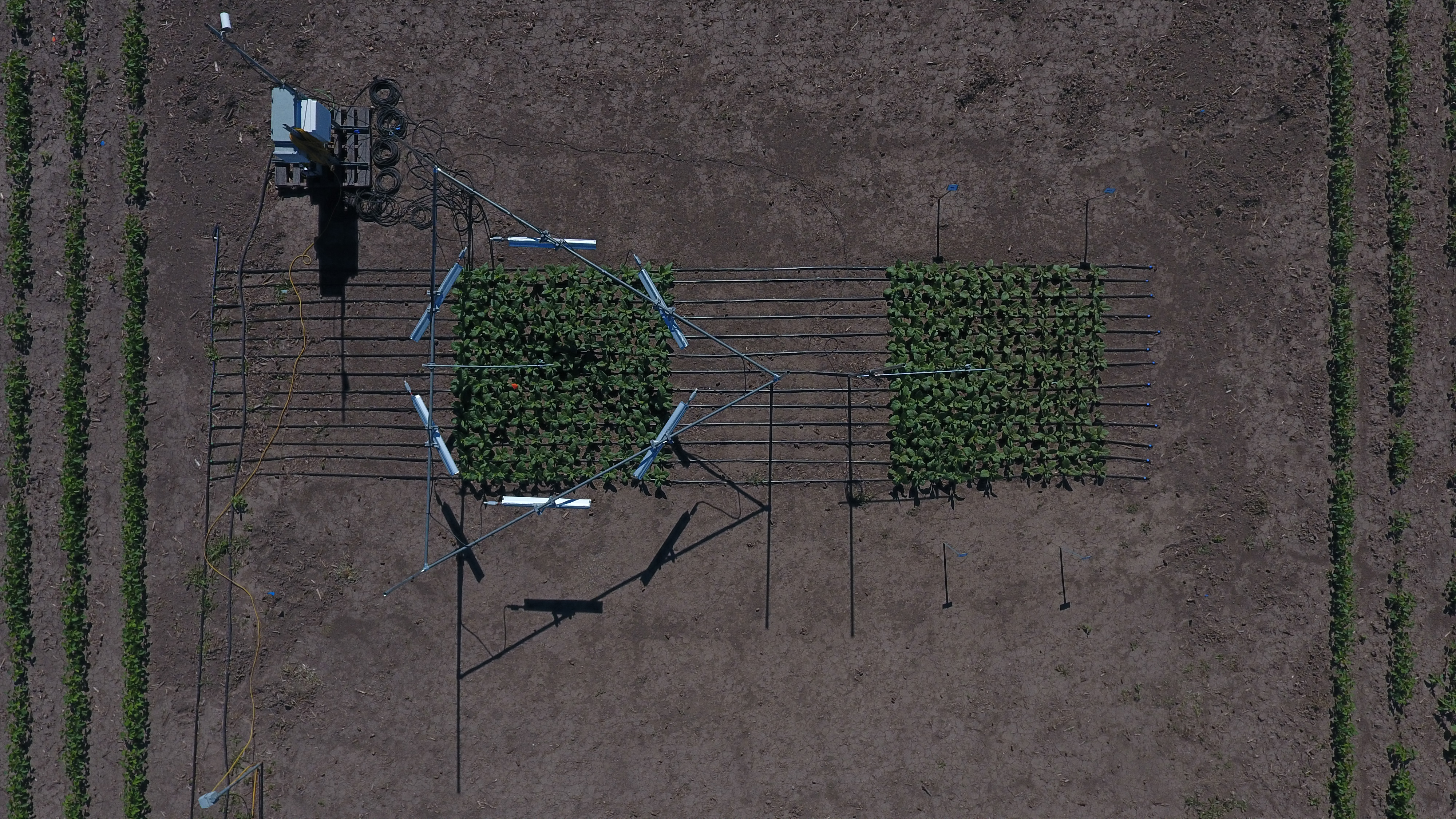 Overhead shot of heaters in the fields