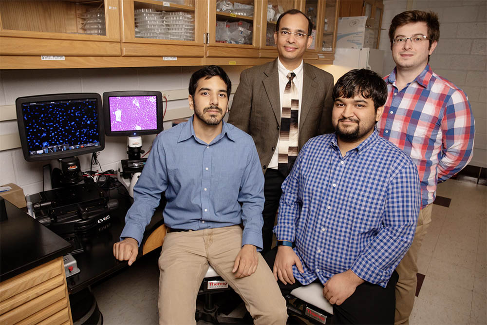 Biochemistry professor Auinash Kalsotra, second from left, and his team, including, from left, graduate students Waqar Arif, Joseph Seimetz and Sushant Bangru, uncovered the molecular underpinnings of liver regeneration.