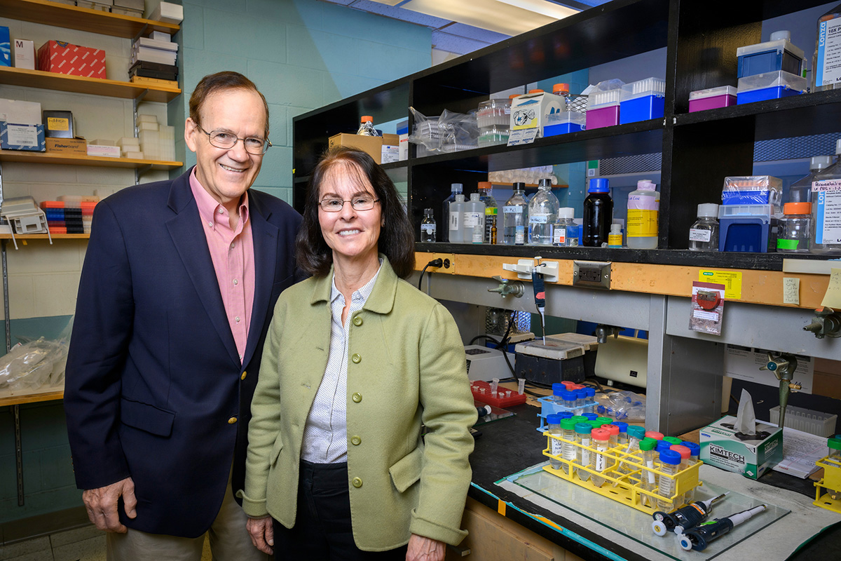 John Katzenellenbogen, left, Benita Katzenellenbogen and their colleagues found that stimulating estrogen receptor beta in triple-negative breast cancers alters the activity of cancer-related genes and reduces the growth and metastasis of these breast cancers. The work was conducted in human TNBC cells and in mice with TNBC tumors expressing varying levels of ER beta.