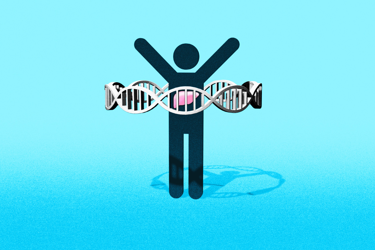 The SRSF1 gene acts as a guardian against DNA damage in the liver, University of Illinois Urbana-Champaign researchers found. When it is missing or inactivated, severe nonalcoholic fatty liver disease symptoms develop.