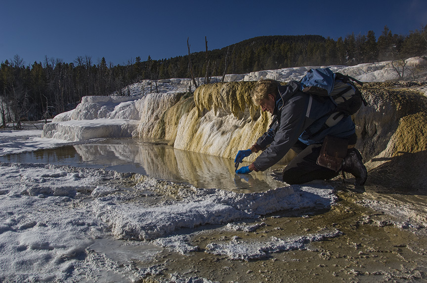 Bruce Fouke Yellowstone Hot Springs