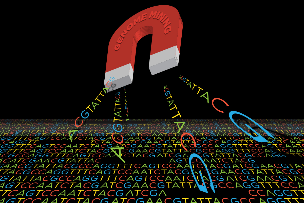 Researchers used a variety of techniques, including genome mining, to identify bacteria that produce defensive compounds in response to hormone exposure. Their approach will help in the discovery of new antibiotics and other medically useful molecules.