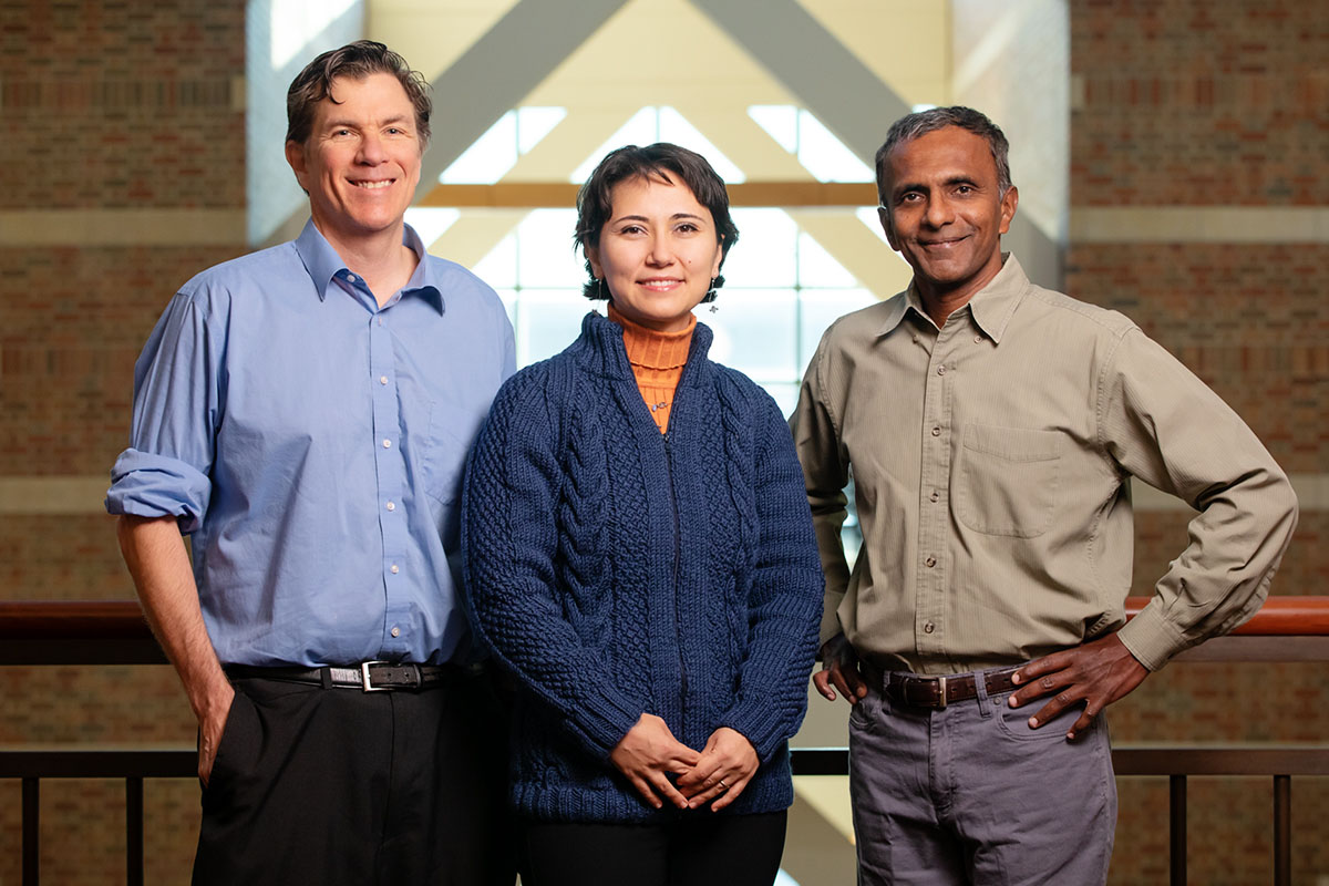 A new study in mice suggests that consuming a high-fat diet in combination with exposure to PFAS triggers changes in benign and malignant prostate cells that promote rapid tumor growth. Food science and human nutrition professor Zeynep Madak-Erdogan, center, led the study. Co-authors include comparative biosciences professor Michael J. Spinella, left, and bioengineering professor Joseph Irudayaraj.