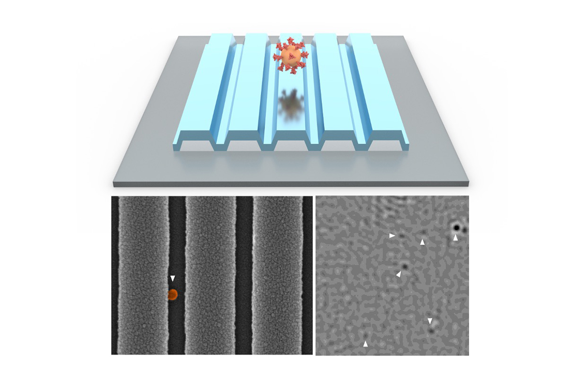 PRISM for COVID-19 detection. At top, concept art. Bottom left, a microscope image of a single virus on the photonic crystal surface. Bottom right, a PRISM image with six viruses detected.