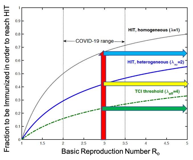 Epidemiological models for homogenous populations—those with little variation among individuals—predict a high value for the herd immunity threshold (HIT). For example, if the reproduction number is three, 67 percent of the population must be infected or vaccinated to reach herd immunity. With heterogeneity that remains constant over time (i.e., static levels of social activity), the HIT drops to about 42 percent. Accounting for variations in social activity over time results in an even lower threshold (~22 percent), giving the false impression that the epidemic is over when really only transient collective immunity (TCI) has been achieved. Over time, TCI wanes.