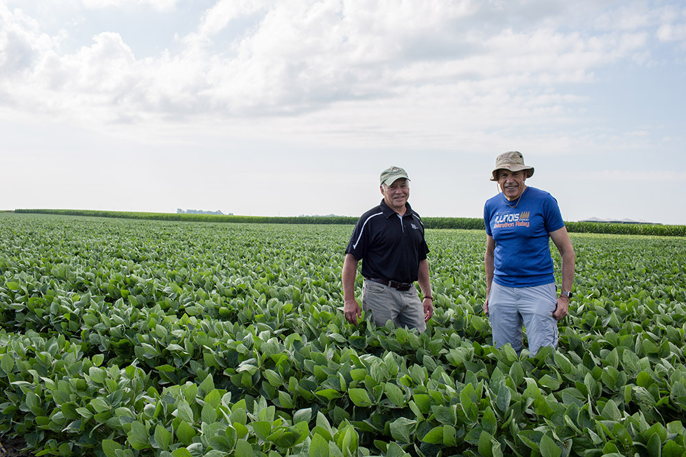 Director Stephen Long (right) and Deputy Director Donald Ort (left) to enhance the photosynthetic productivity and yield of key food crops including rice, cassava, cowpea, and soybeans (pictured) to benefit farmers worldwide.