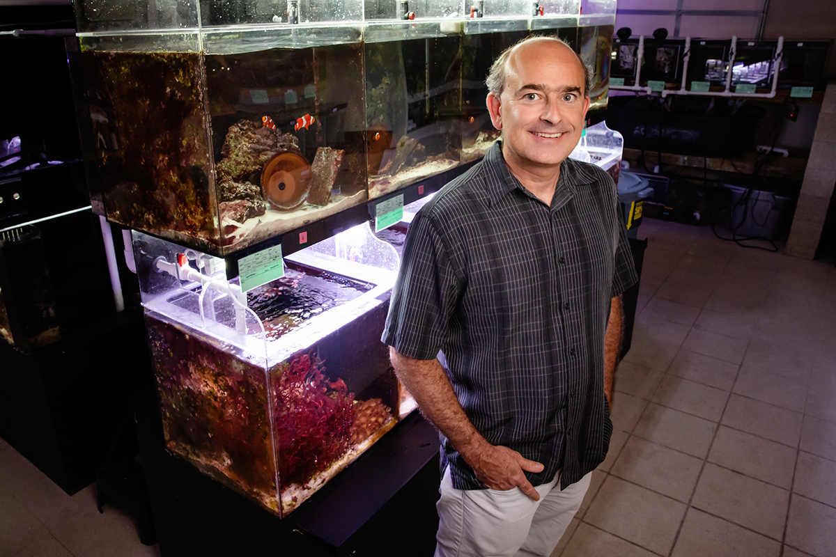 Psychology professor Justin Rhodes and his colleagues discovered that the male-to-female sex change in anemonefish occurs first in the brain.