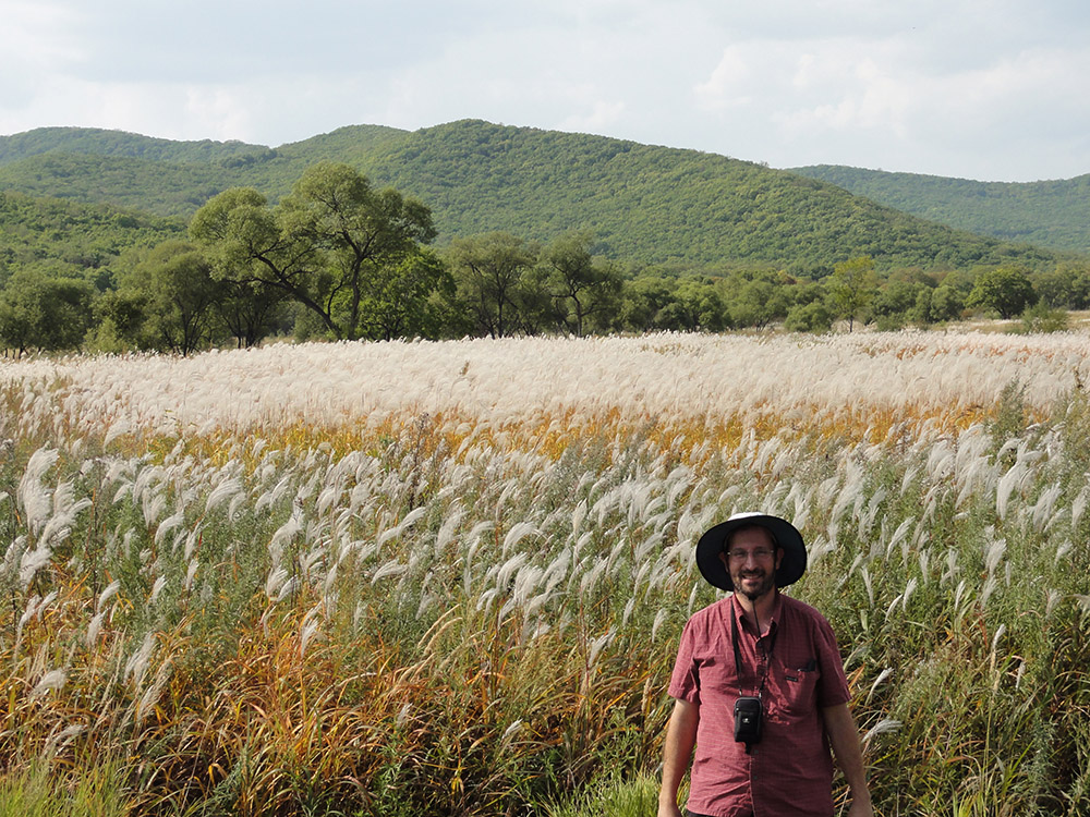 In Eastern Siberia, Professor Erik Sacks collected cultivars of <i>Miscanthus</i>—a popular, low-input, perennial bioenergy feedstock. A new study from the University of Illinois found three Miscanthus plants that have exceptional photosynthetic performance in chilling temperatures, which will be used to breed improved varieties.