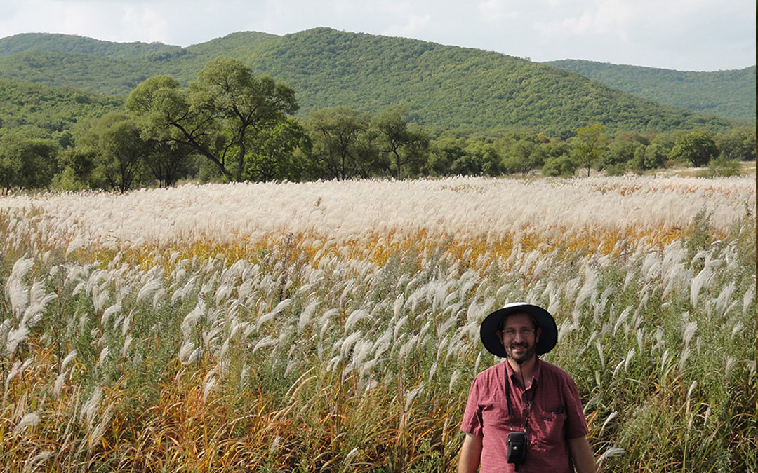 In Eastern Siberia, Professor Erik Sacks collected cultivars of Miscanthus—a popular, low-input, perennial bioenergy feedstock. A new study from the University of Illinois found three Miscanthus plants that have exceptional photosynthetic performance in chilling temperatures, which will be used to breed improved varieties.