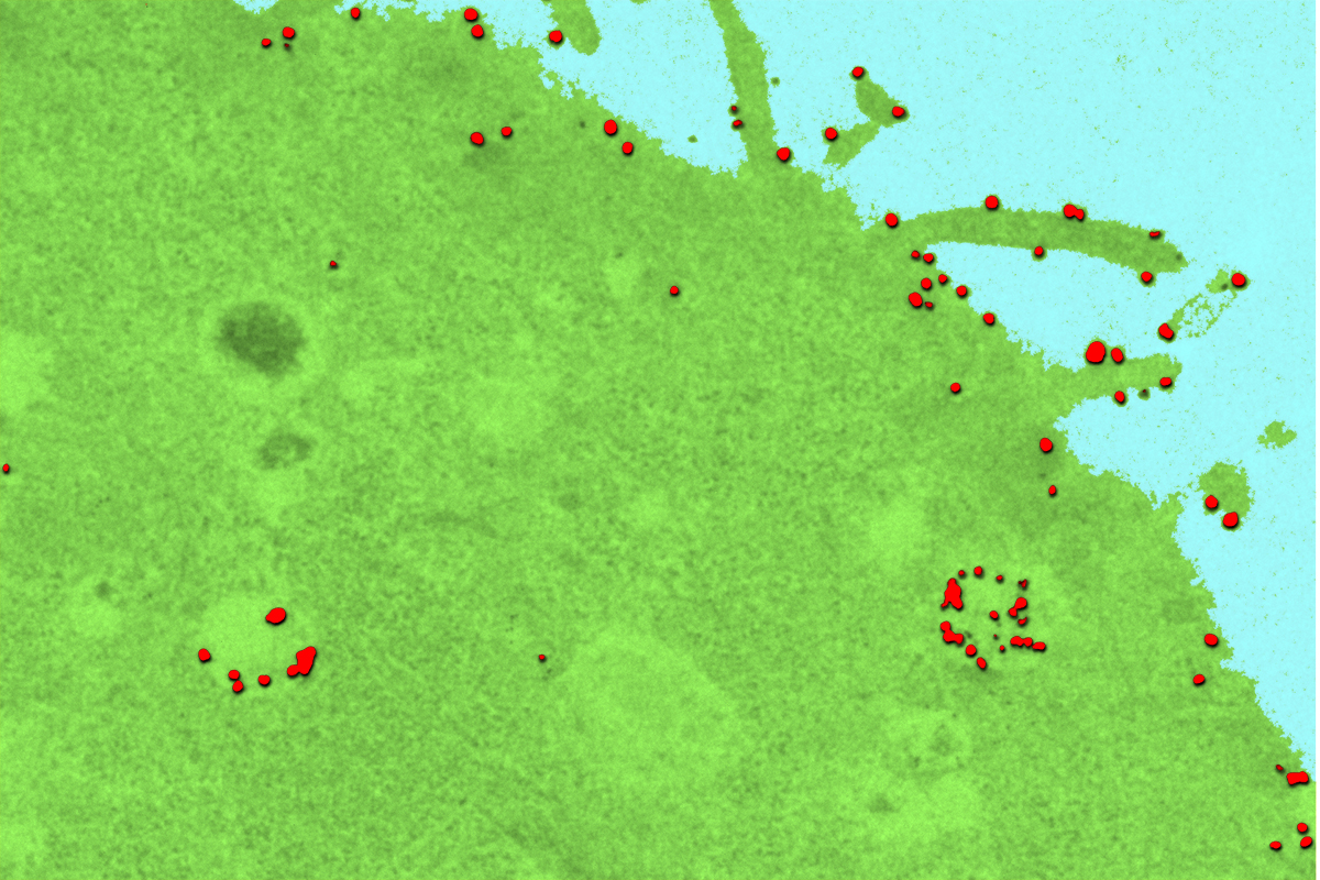 The technique allows them to count, map and track delivery agents, shown in red, as they enter and move through a cell.