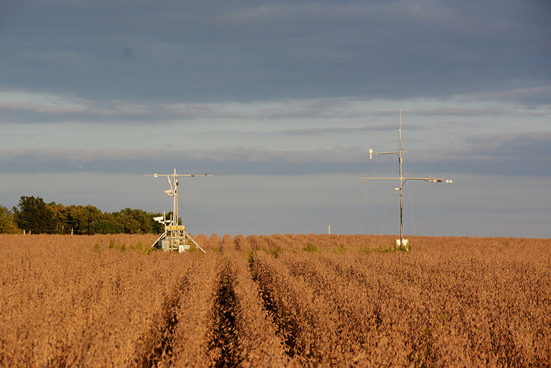 Scientists evaluate the photosynthetic performance of soybeans using these towers, which use hyperspectral cameras to capture light invisible to the human eye that may one day help us predict yield on a grand scale. 