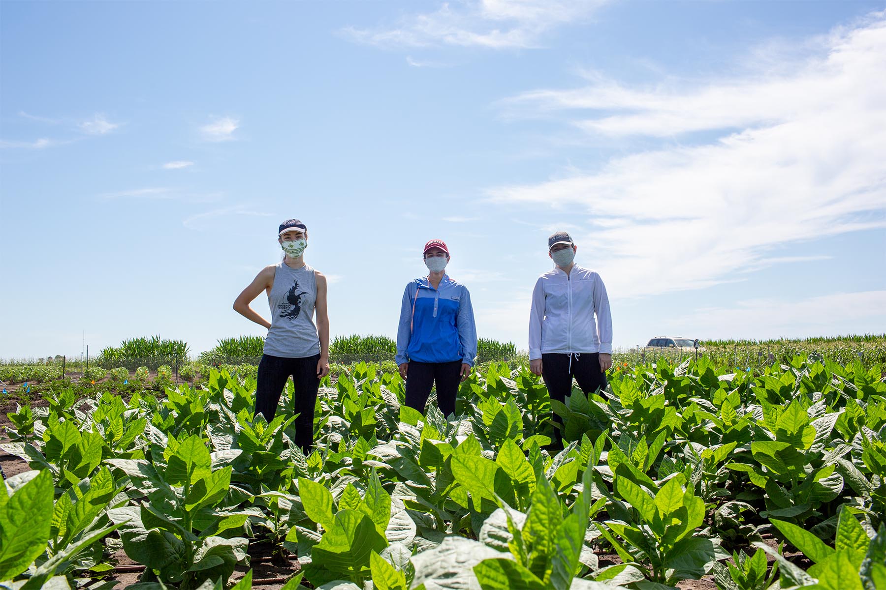 From left to right: Emily Gibson (Cornell), Liana Acevedo-Siaca (Illinois), Coralie Salesse-Smith (Illinois). Credit: Claire Benjamin/RIPE project