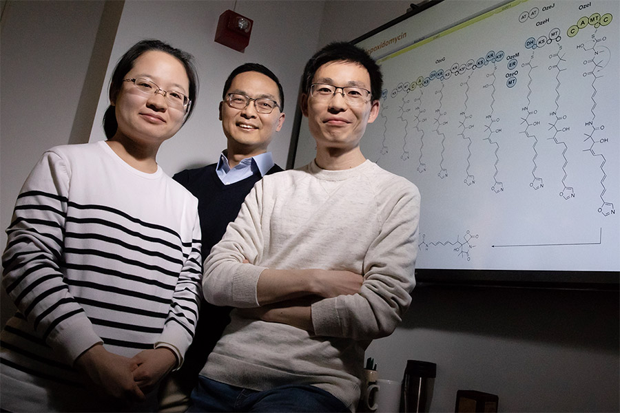 Illinois researchers developed a technique to unmute silent genes in Streptomyces bacteria using decoy DNA fragments to lure away repressors. Pictured, from left: postdoctoral researcher Fang Guo, professor Huimin Zhao and postdoctoral researcher Bin Wang.